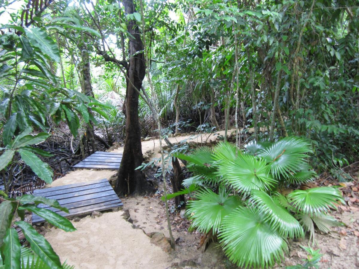 Nomad Divers Bangka Likupang Ngoại thất bức ảnh