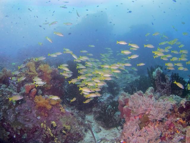 Nomad Divers Bangka Likupang Ngoại thất bức ảnh